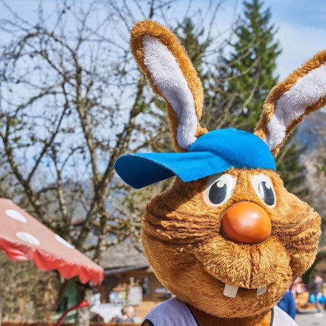 Unser Maskottchen Max freut sich auf seine Besucher
