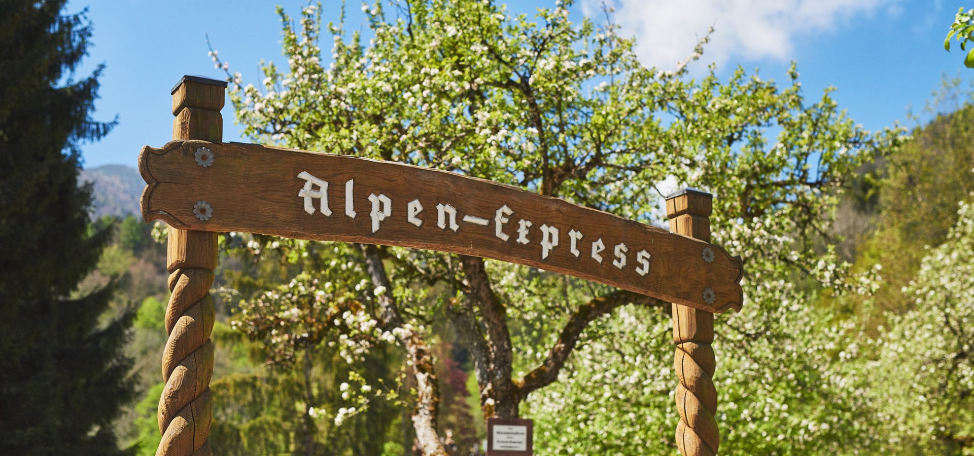 der Alpen-Express fährt alle 10 Minuten gemütlich seine Runden. Ein Spaß besonders für die Kleinen. Bei den ganz Kleinen dürfen Mama und Papa natürlich mit