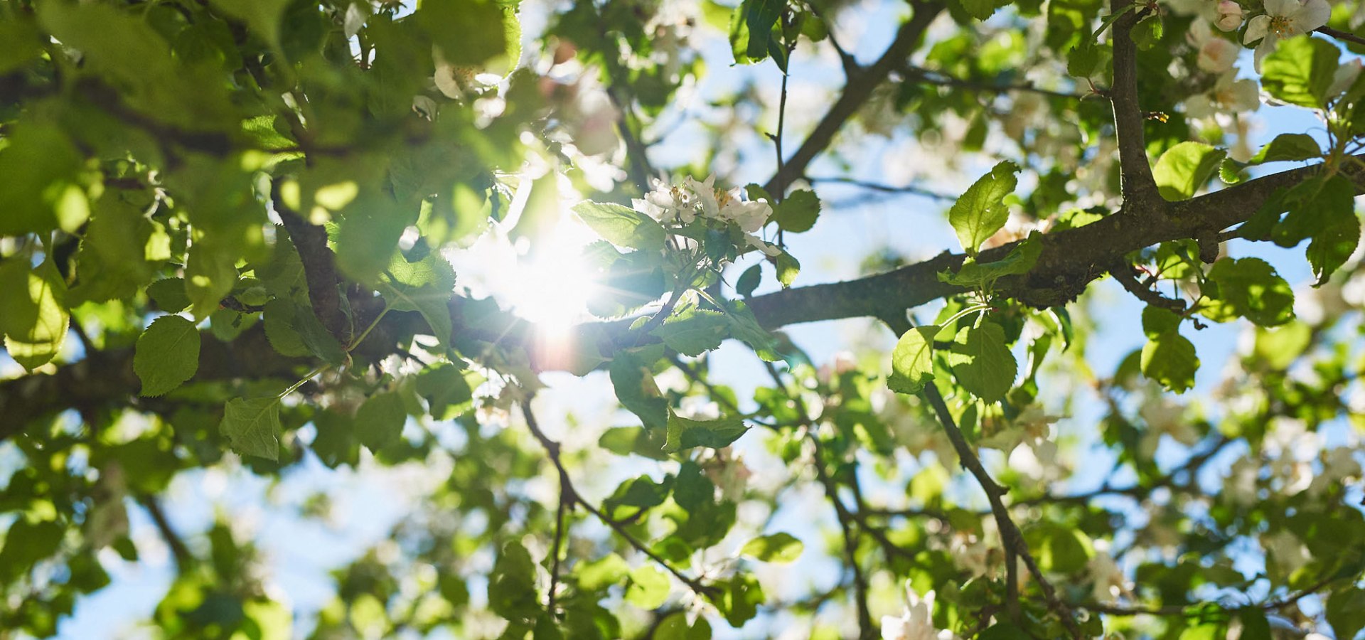 märchenhaft ist unser Park im Frühling