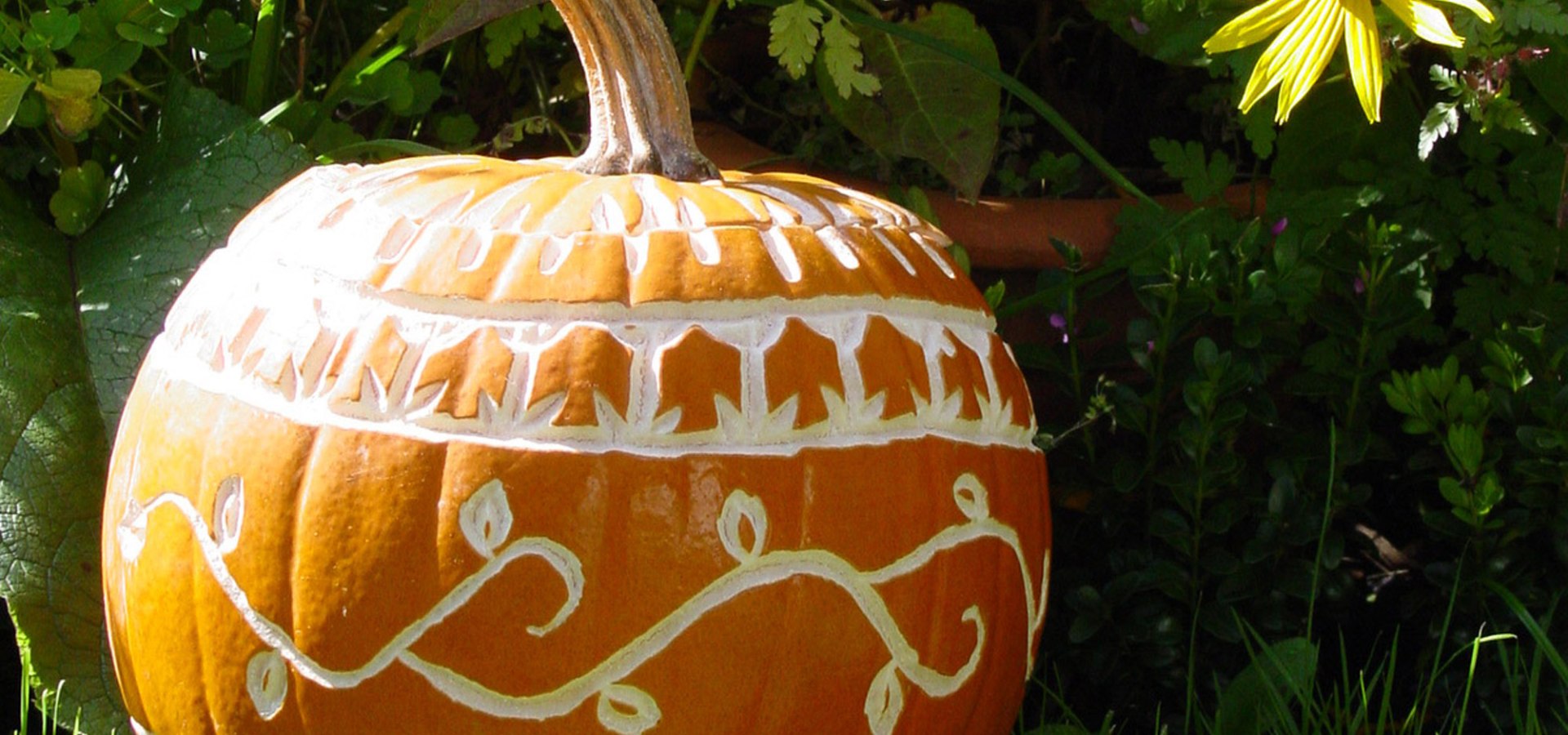 schön geschnitzte Kürbisse an Halloween im Märchen-Erlebnispark Marquartstein