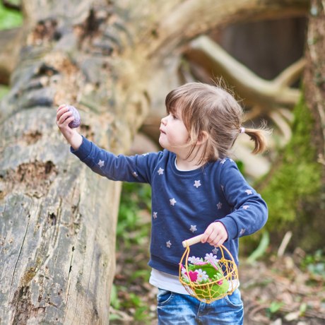 Im Waldspielplatz Hexensteig versteckt der Osterhase gerne die Ostereier