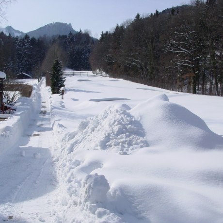 This is what the summer toboggan run looks like in winter